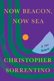 NOW BEACON, NOW SEA by Christopher Sorrentino