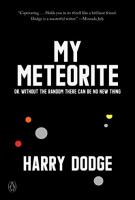 MY METEORITE by Harry Dodge