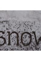 "SNOW" by Shelley Jackson