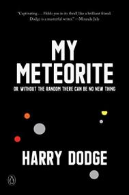 MY METEORITE by Harry Dodge