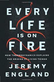 EVERY LIFE IS ON FIRE by Jeremy England