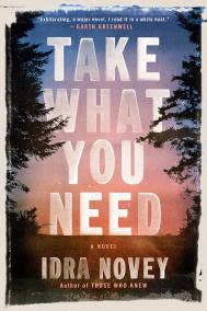 TAKE WHAT YOU NEED by Idra Novey